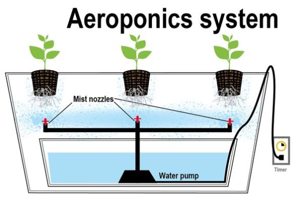 Aeroponische Landwirtschaft