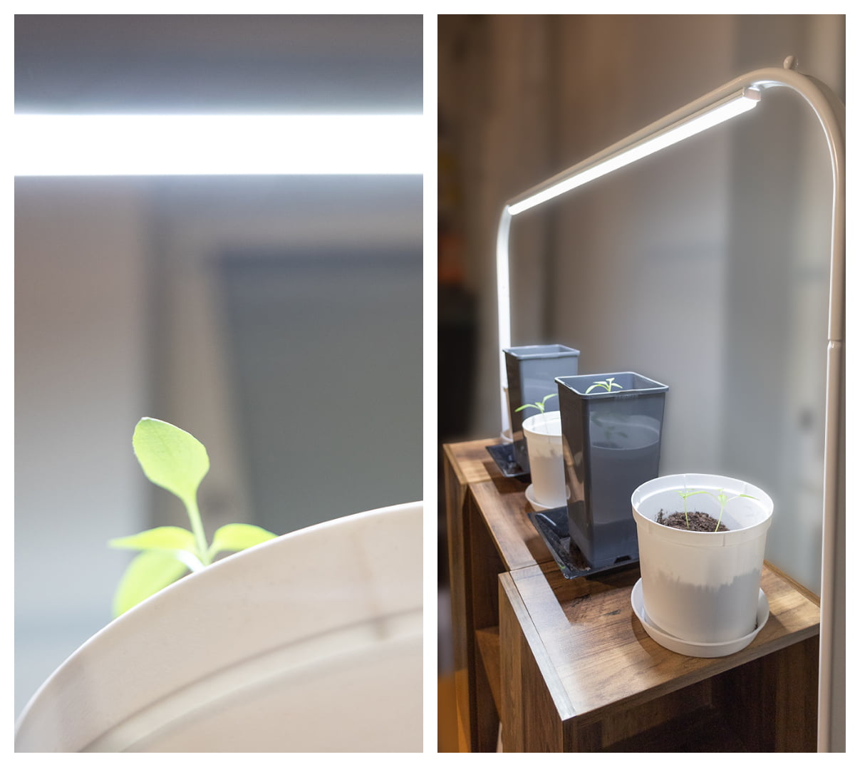 led-kasvivalaistus toimii hyvin