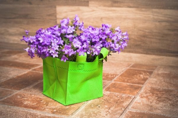 kukat vihreässä kassissa kasville sopivat korkean värintoistoindeksin valaisimet - LedStore Pieni vihreä laukku violeteilla kukilla laattalattialla, valaistu LED-valoilla puukuvioisista seinistä. Täydellinen valaistus parantaa värejä ja tekstuureja.