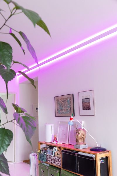 Das Zimmer verfügt über lila LED-Deckenleuchten, Kunstwerke an weißen Wänden, eine Zimmerpflanze und ein Regal mit Aufbewahrungsboxen und verschiedenen Dekorationsartikeln.
