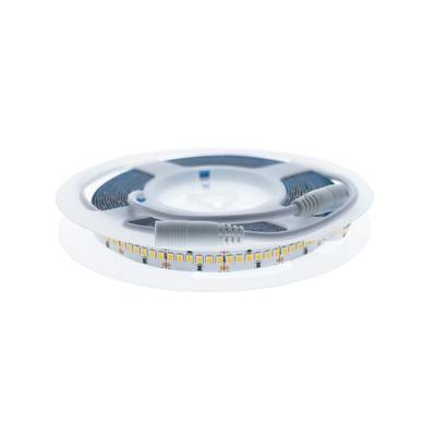 LED-Lichtband auf Rolle, Anschlüsse sichtbar, weißer Hintergrund. Energieeffiziente Beleuchtungslösung.