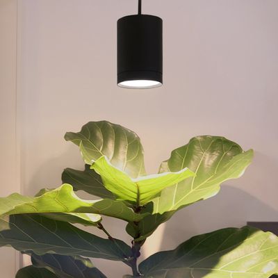Suspended LED plant light FOKUS - Dimmable 30W, 5 step CCT 2700K-6000K, matte black, CRI98 Suspended LED plant light FOKUS - Dimmable 30W, 5 step CCT 2700K-6000K, matte black, CRI98