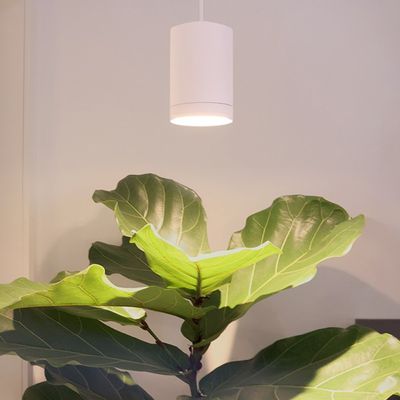 Suspended LED plant light FOKUS - Dimmable 30W, 5 step CCT 2700K-6000K, matte white, CRI98 Suspended LED plant light FOKUS - Dimmable 30W, 5 step CCT 2700K-6000K, matte white, CRI98