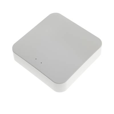 Tuya Zigbee und Matter Hub