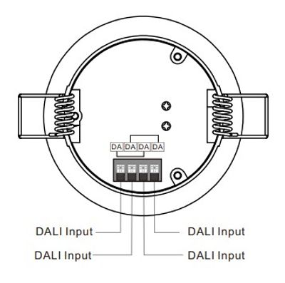 Schema eines DALI-Eingangssteckers; kreisförmig mit 4 DA-Steckern, seitlichen Federn und einer Verdrahtung, die jeden Stecker mit dem LED-Beleuchtungswerk verbindet.
