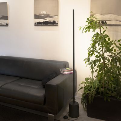 Modernes Wohnzimmer mit energieeffizienter LED-Beleuchtung, schwarzem Ledersofa, Stehlampe, Topfpflanzen und monochromen Landschaftsmöbeln.