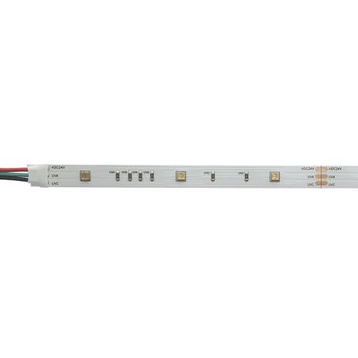 Nahaufnahme von LED-Leuchtbändern mit sichtbaren Segmenten und Leitern, ideal für energieeffiziente Beleuchtungslösungen.