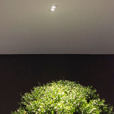 Alternativer Text: "Üppige grüne Pflanze unter einer hellen LED-Deckenleuchte vor einer dunklen Wand und einer strukturierten Decke in einem Beleuchtungsgeschäft.