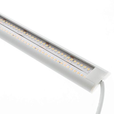 Nahaufnahme von energieeffizienten LED-Leuchten in einem weißen Gehäuse mit Netzkabel, ideal für moderne Beleuchtungslösungen.