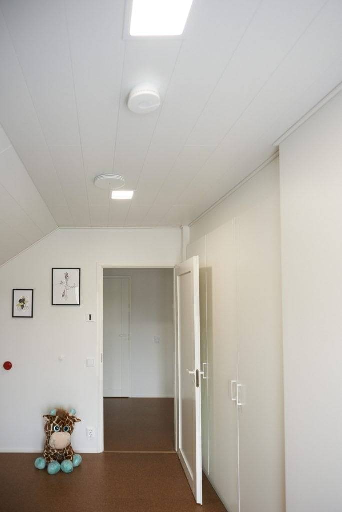 LED-Store-Logo auf grünem Hintergrund mit dem fettgedruckten Text "LED STORE" innerhalb eines weißen Quadrats, das für energieeffiziente Beleuchtungslösungen steht.