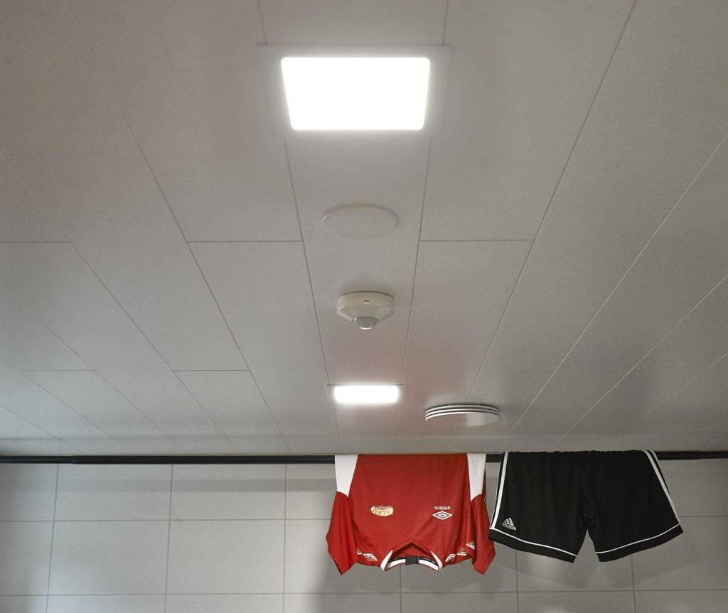 Ein grüner Hintergrund mit einem weißen quadratischen Umriss in der Mitte und dem Text "LED STORE" darin, der energieeffiziente Beleuchtungslösungen hervorhebt.