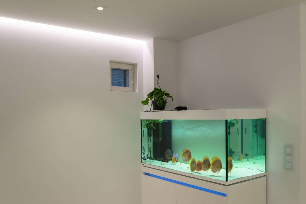 Grüner Hintergrund mit weißem Quadrat, das "LED STORE" in fetten, weißen Großbuchstaben in der Mitte eines LED-Beleuchtungsgeschäfts zeigt.