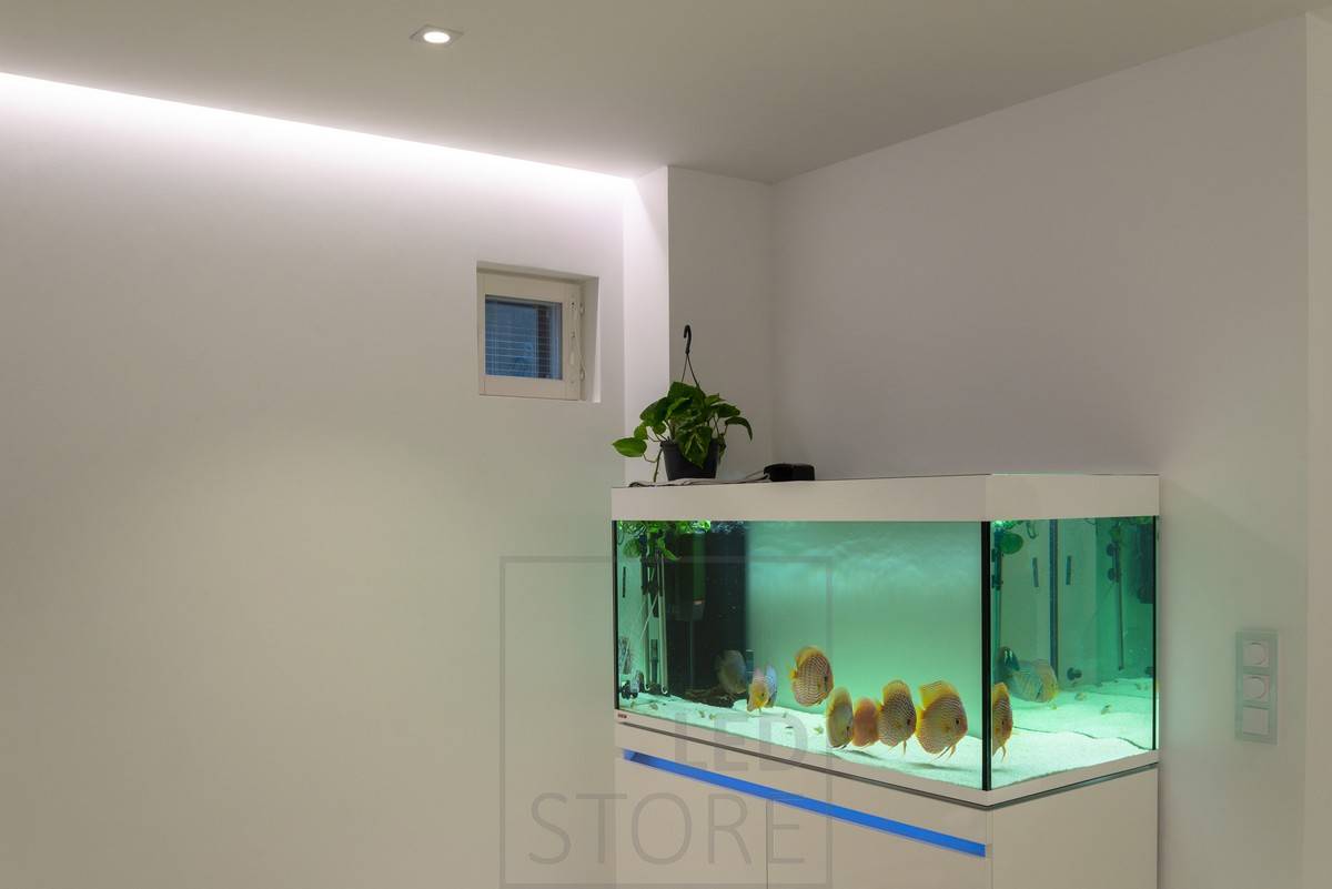 Atmosphärisches, indirektes Licht, realisiert mit einem LED-Einbaustreifen. Das indirekte Licht wird durch Spotbeleuchtung unterstützt.