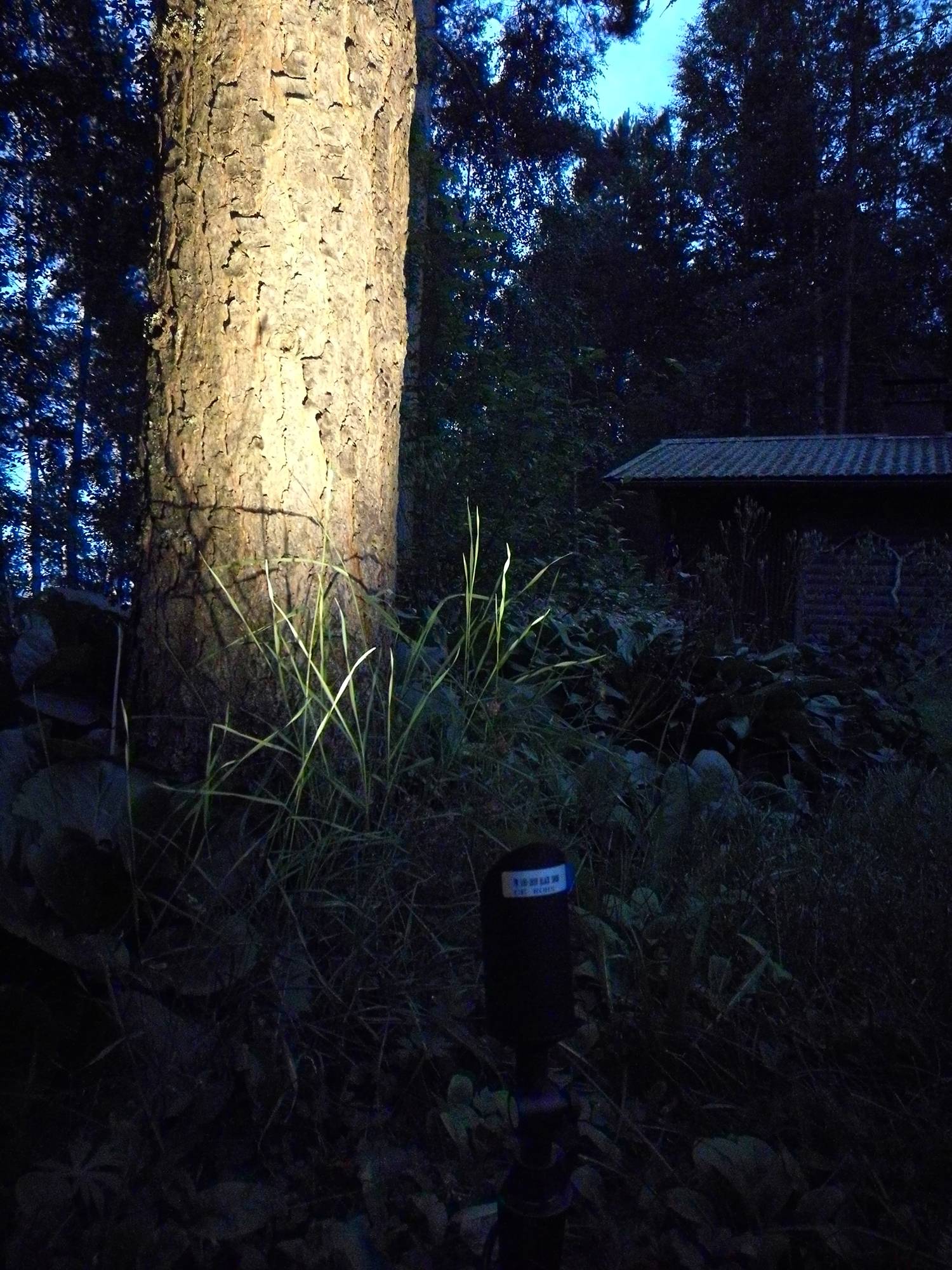 Schönes Akzentlicht im Freien mit einer Maquis-Leuchte, die auf einen Baum gerichtet ist. Ledstore.fi