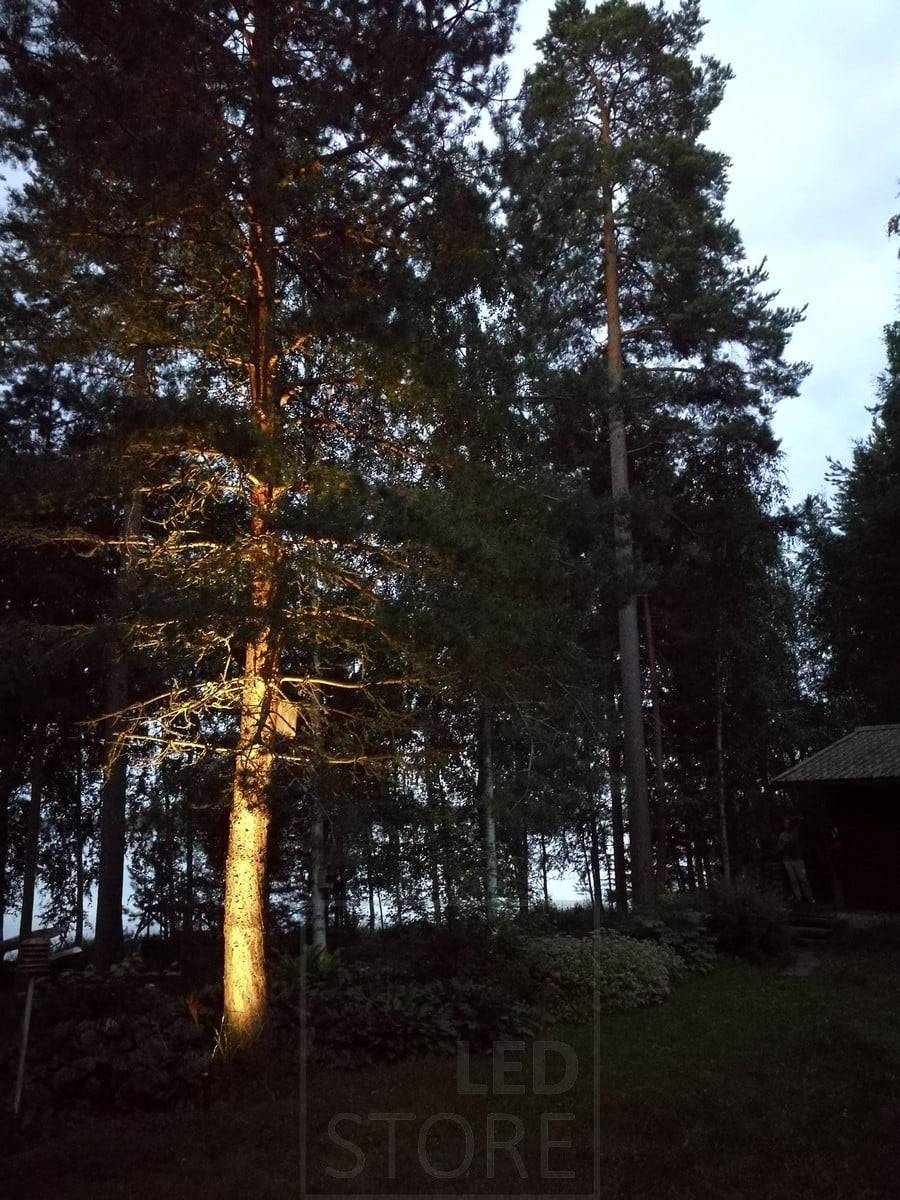 Led-Bodenlicht-Spike, der einen Baum beleuchtet und hervorhebt. Die Beleuchtung ist stimmungsvoll und indirekt. Ledstore.fi