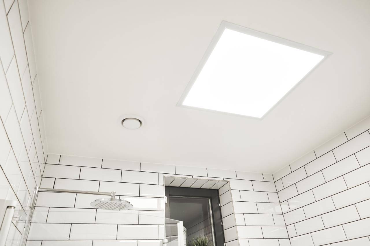 Grüner Hintergrund und weißes Quadrat mit "LED STORE" - Energieeffiziente Beleuchtungslösungen für Haus und Geschäft.