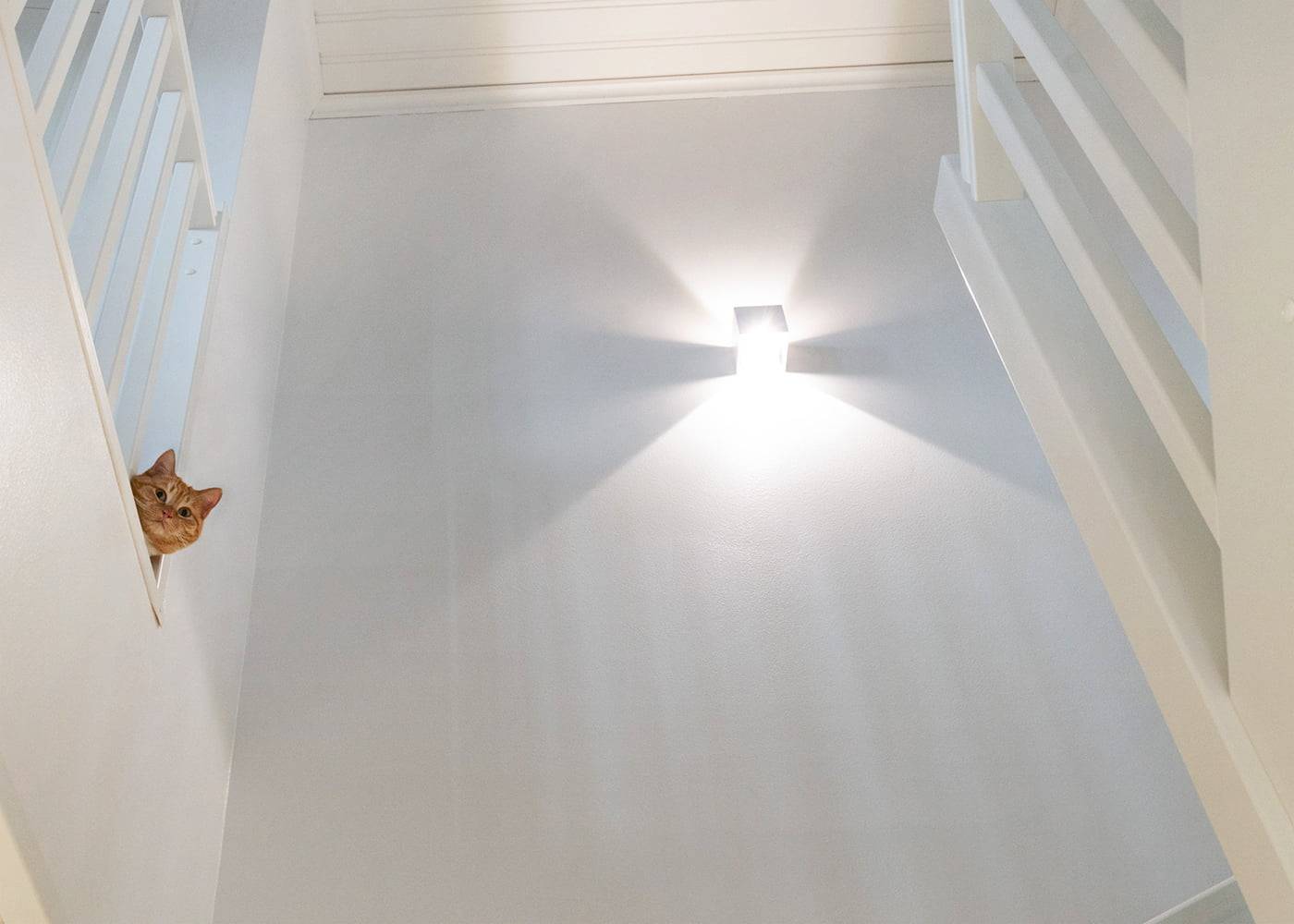 Eine orangefarbene Katze lugt durch das Treppenhaus; eine LED-Wandleuchte erzeugt sternförmige Schatten und verleiht dem weißen Treppenhaus eine gemütliche Atmosphäre.