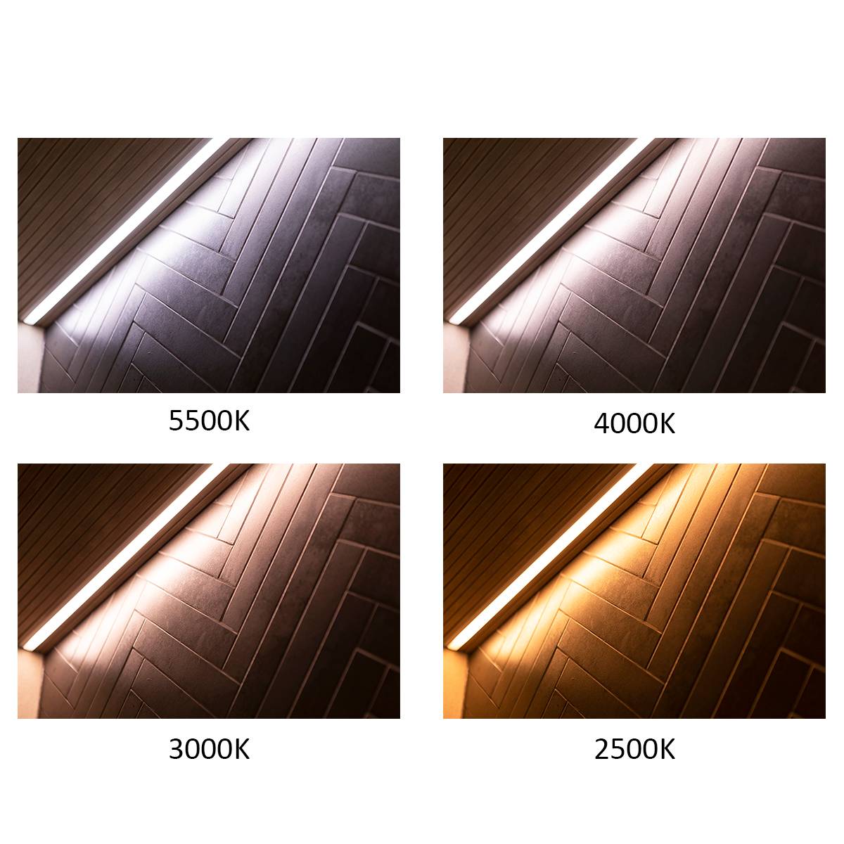 LED Store-Logo auf grünem Hintergrund mit fettem weißem "LED STORE"-Text in einem weißen Quadrat, ideal für Liebhaber von LED-Beleuchtung.