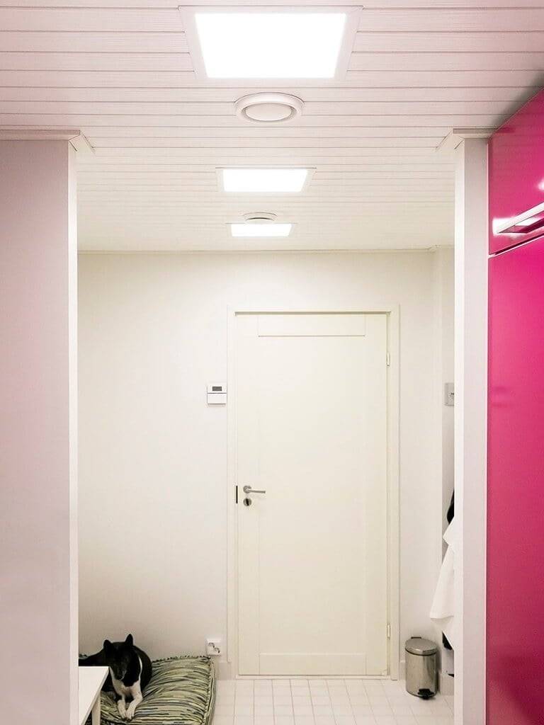 LED Store Logo mit weißem Quadrat und Text auf grünem Hintergrund, das für energieeffiziente Beleuchtungslösungen wirbt.
