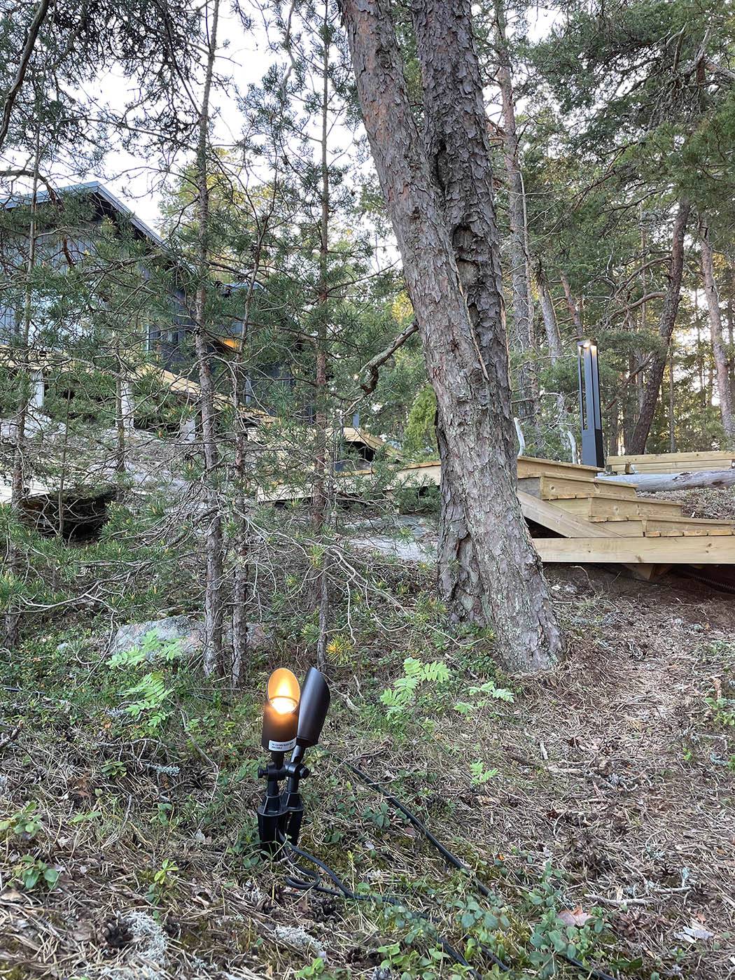 Erdspießlampe, die Kiefern beleuchtet.