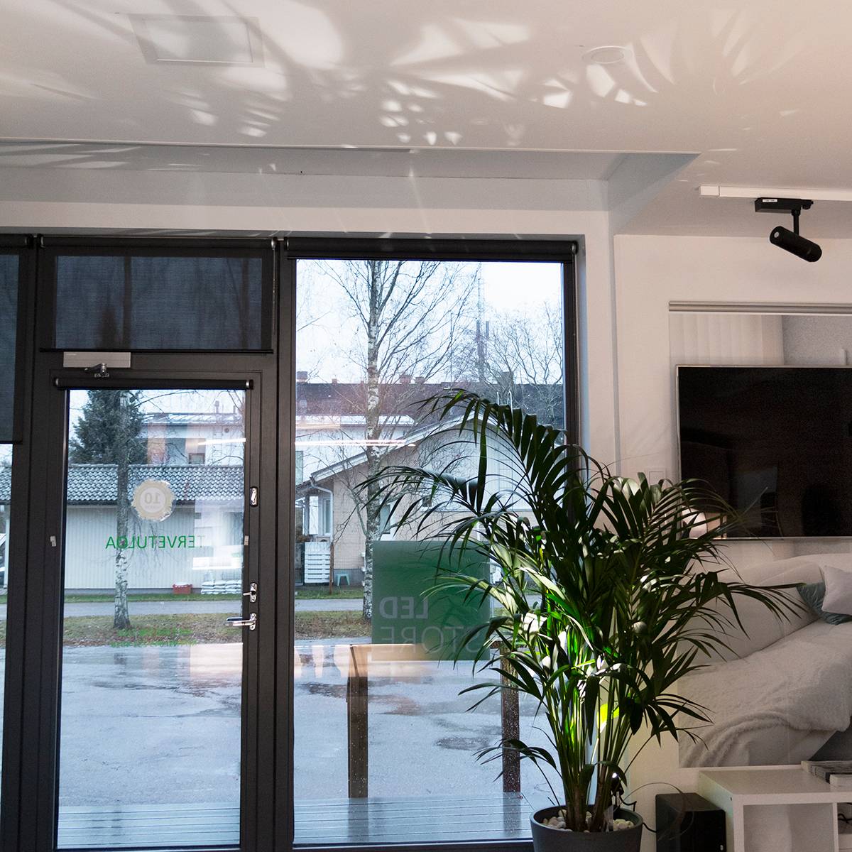 Neigbares Maapik auf einer Zimmerpflanze, um diese hervorzuheben und eine stimmungsvolle Beleuchtung in den Raum zu bringen. Das von unten nach oben gerichtete Licht erzeugt auch schöne Schatten an der Decke. Ledstore.fi